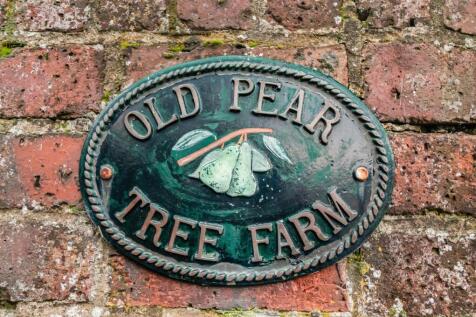 Pear Tree Cottage11.jpg