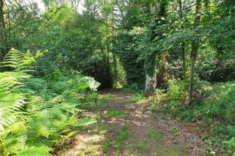 Woodland