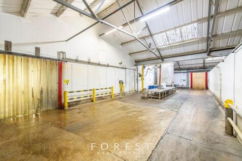 32799_forest_j_pao__and__co_10_24_standard_road_