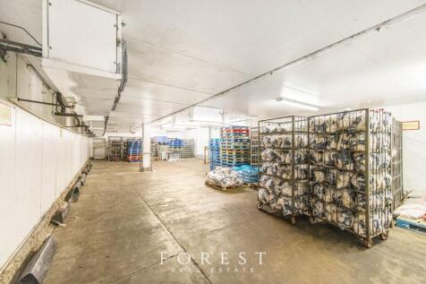 32799_forest_j_pao__and__co_10_24_standard_road_