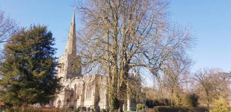 thumbnail_PHOTO-2025-03-04-15-47-57.jpg
