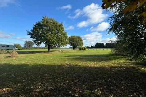 Campsite