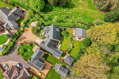 DJI_0372.jpg