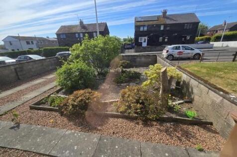 Garden/Driveway