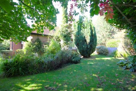 Garden e.JPG