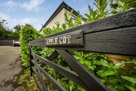 image00007