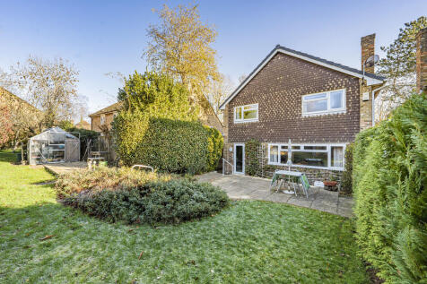 Photo Nov 21 2025...