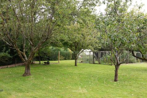 Orchard