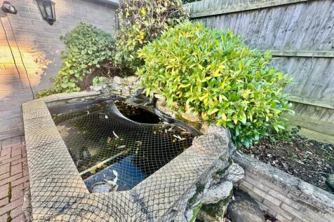 Featured Pond