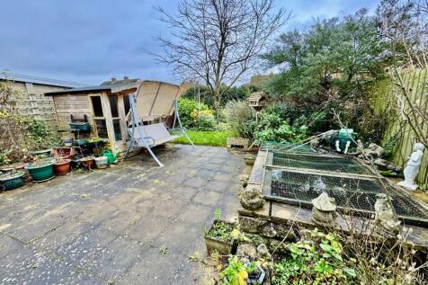 Patio &amp; Pond