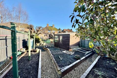 Shed and Vegetable Plots 