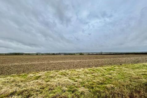 Open field views