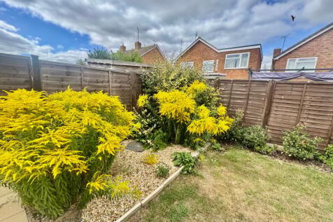 Established Shrubs
