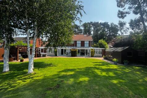 Secluded Property with Pinetrees