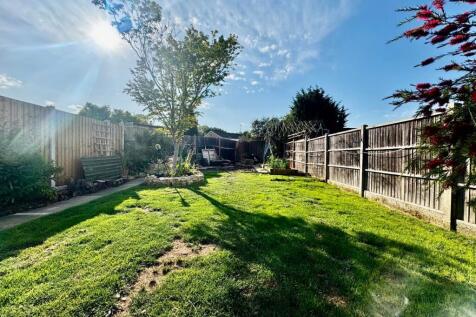 Lawn &amp; Copper Maple Tree