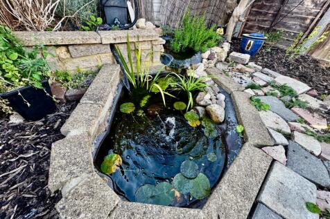 Fish Pond