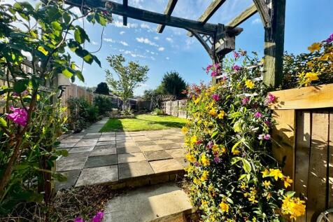 Looking through the Pergola