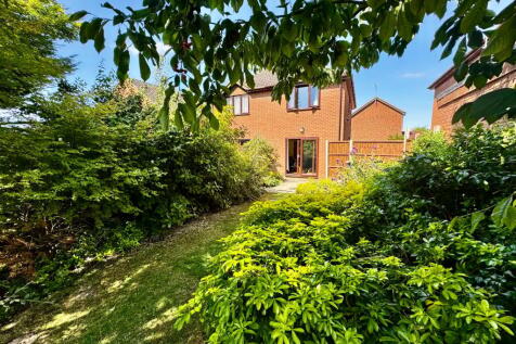 Rear of Property 