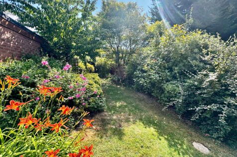 Shrubs and Plants