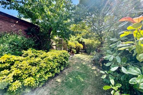 Lawn &amp; Shrubs