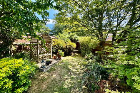 Seating Area / Cherry Tree