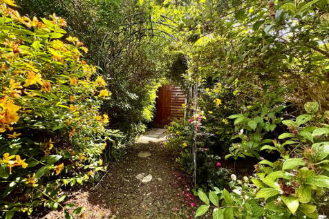 Garden / Shed