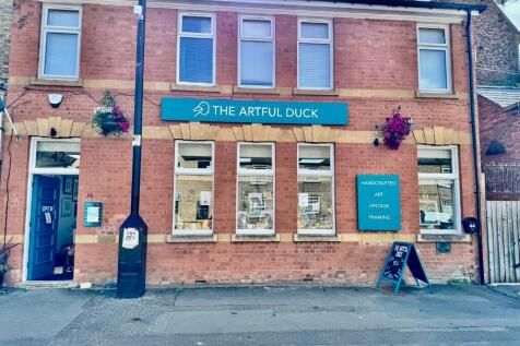 Artful Duck 