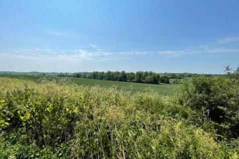 Open Field Views