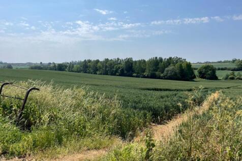 Open Field Views