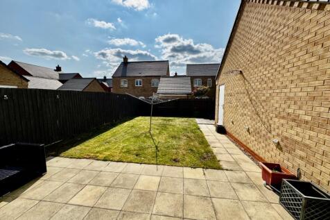 Patio/ Lawn
