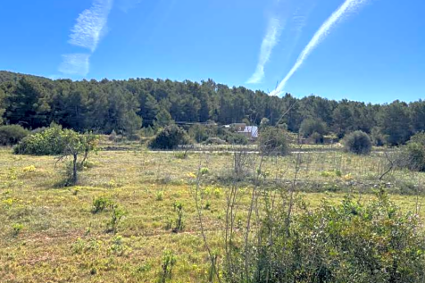 Land