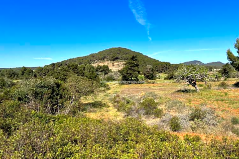 Land