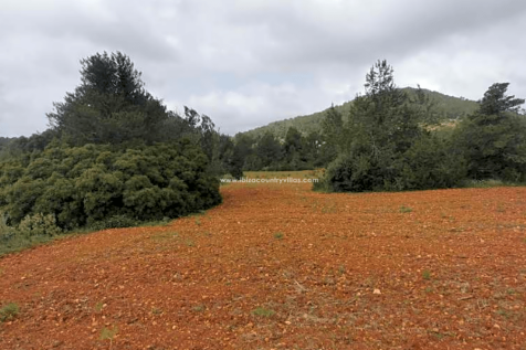 Land