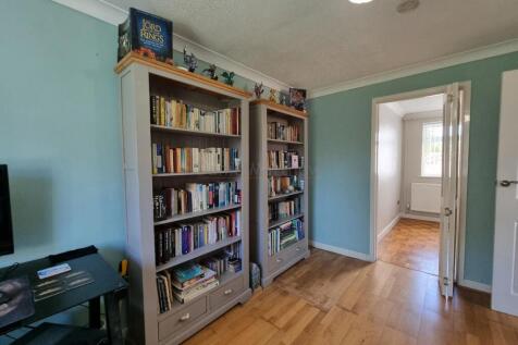 Lounge/Bedroom/Office