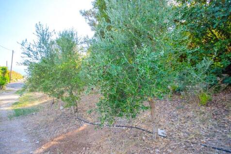 Property Image 51