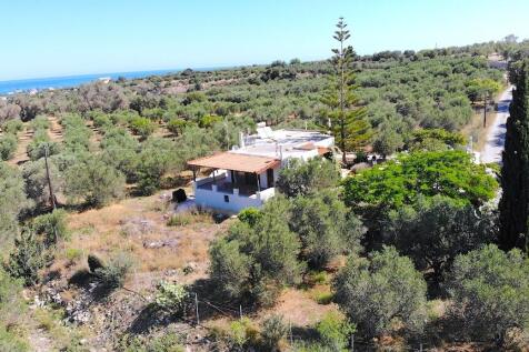 Property Image 38