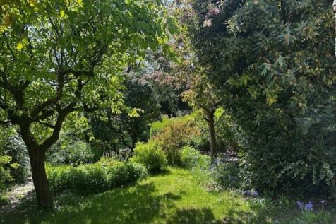 Front garden