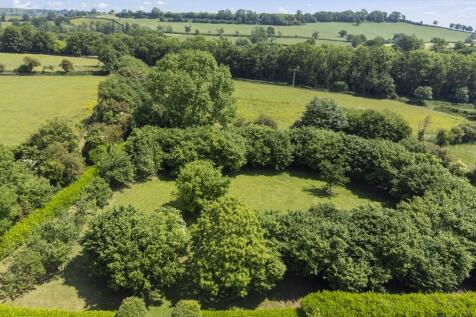 Woodland
