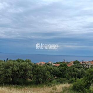 Property Image 86