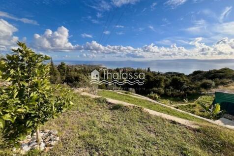 Property Image 85