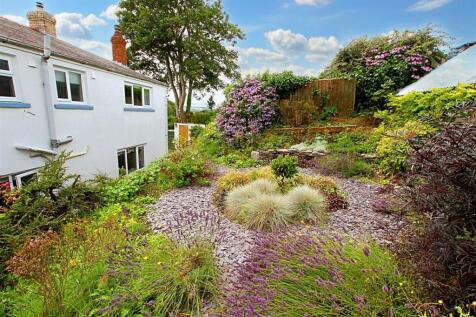 Rear garden and rear of house
