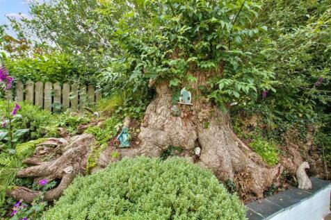 Ornamental Oak garden
