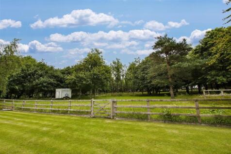 Rear Garden looking out to woodland/paddock  area