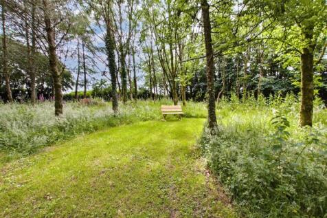Woodland/Paddock
