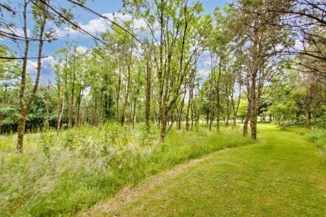 Woodland/Paddock
