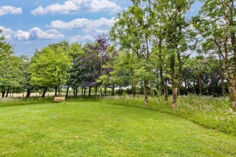 Woodland/Paddock