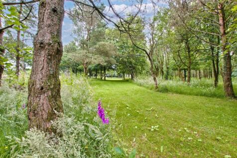 Woodland/Paddock