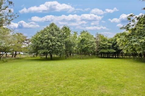 Woodland/Paddock