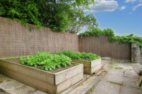 Rear raised vegetable beds