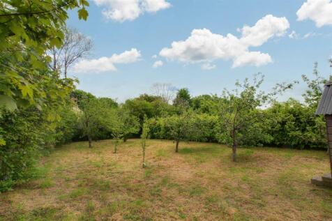 orchard